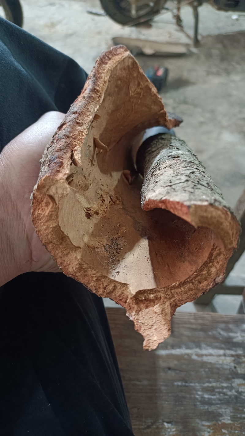 广西通桂皮，自然凉晒，足干，肉
