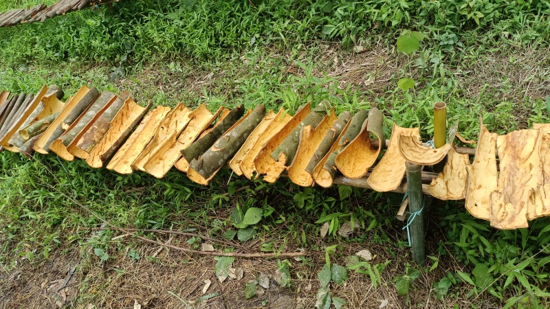广西通桂皮，自然凉晒，足干，肉