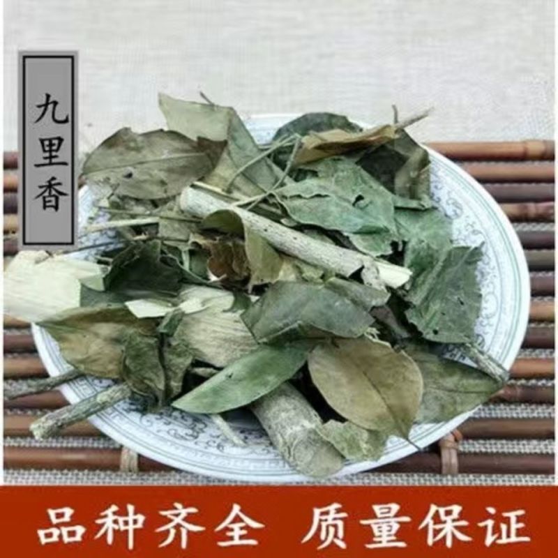 中药材七里香根1公斤/黄金桂/月橘/九里香/过山香/