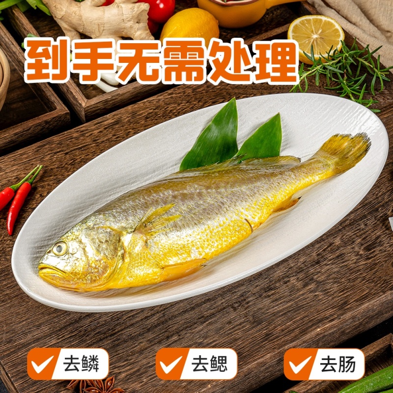 三都港三去黄花鱼