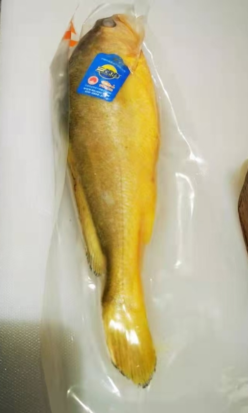 三都港黄花鱼