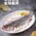 三都港三去海鲈鱼
