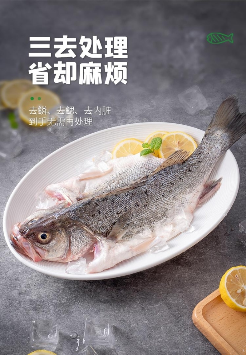 三都港三去海鲈鱼