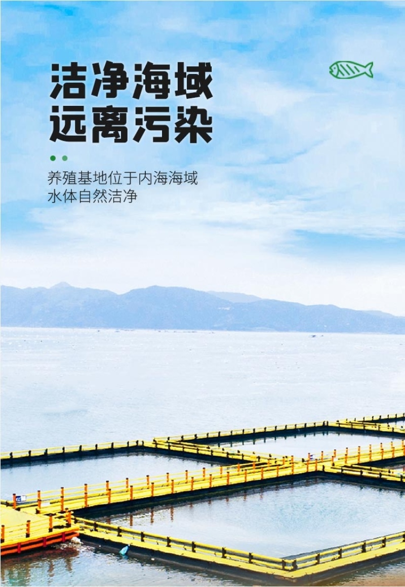 三都港三去海鲈鱼