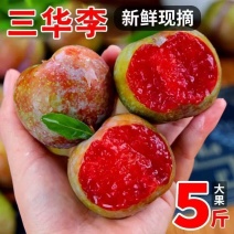 云南三华李大量上市