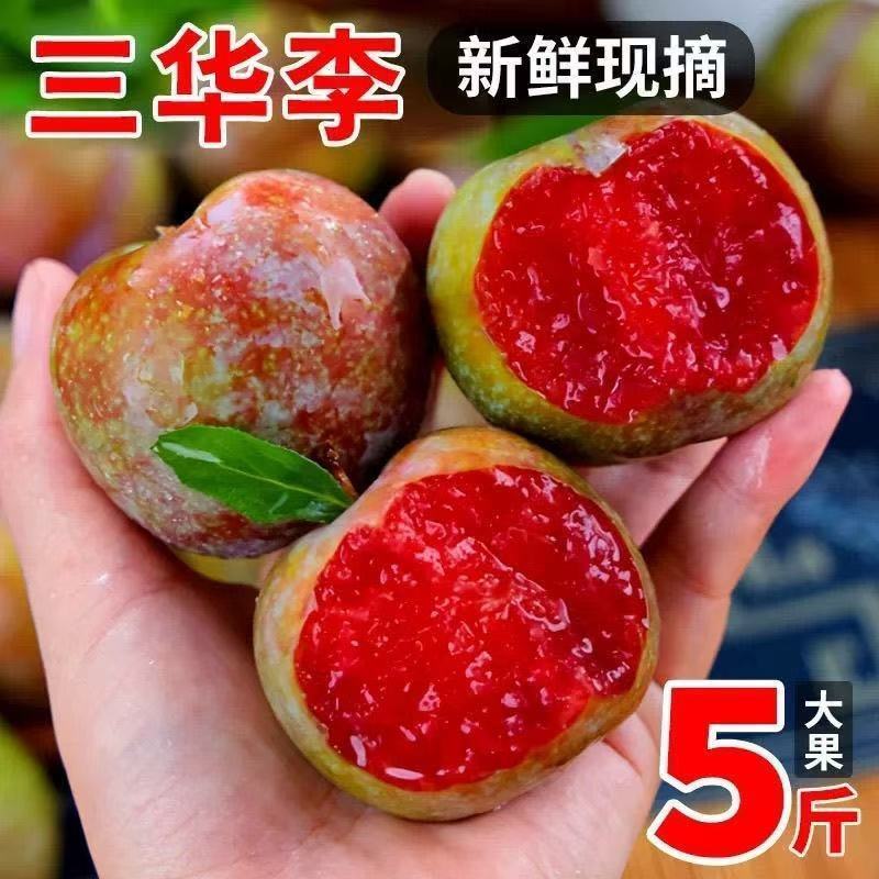 云南三华李大量上市