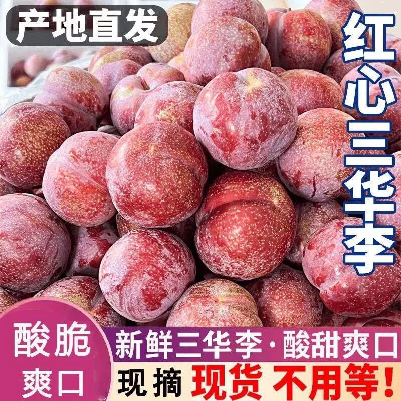 云南三华李大量上市