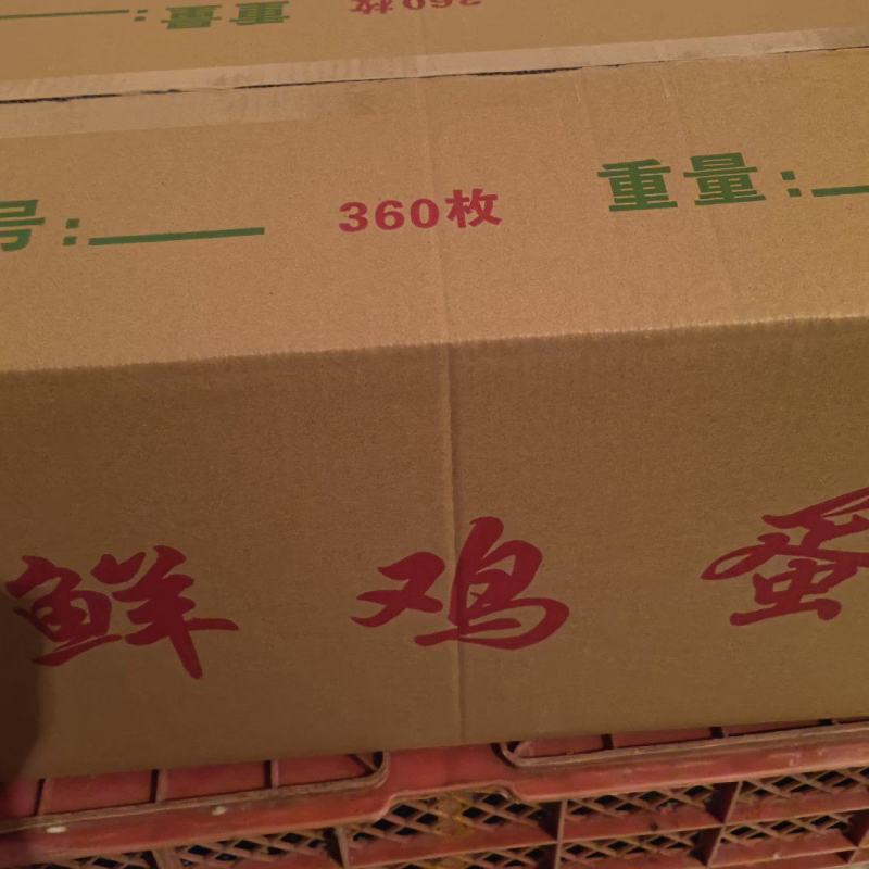 山西晋中鲜鸡蛋土鸡蛋粉蛋便