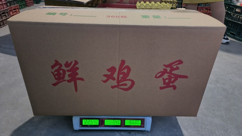 山西晋中鲜鸡蛋土鸡蛋粉蛋便