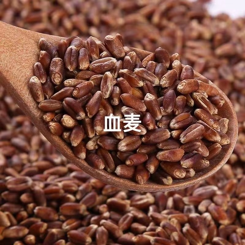 血麦，彩色小麦，血麦片，黑麦，自产自销