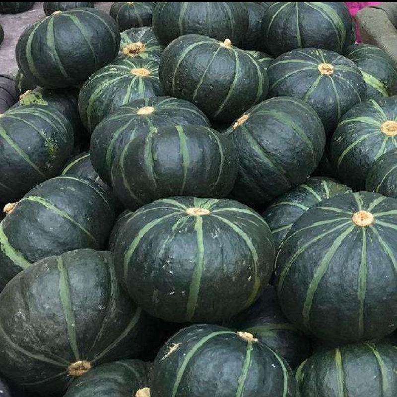 湖北千亩贝贝南瓜，人工挑选，基地直发，质量保证，信誉商家