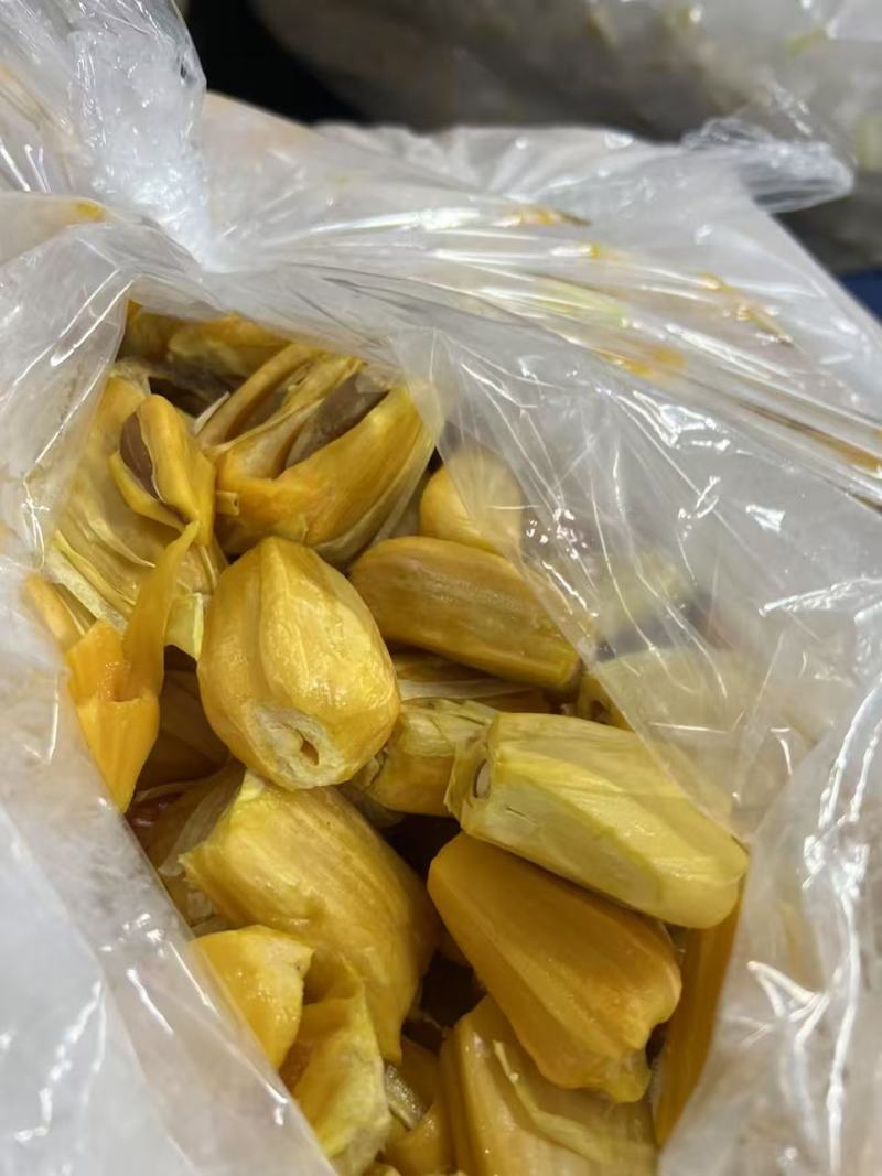 菠萝蜜冻肉原料菠萝蜜果干原料