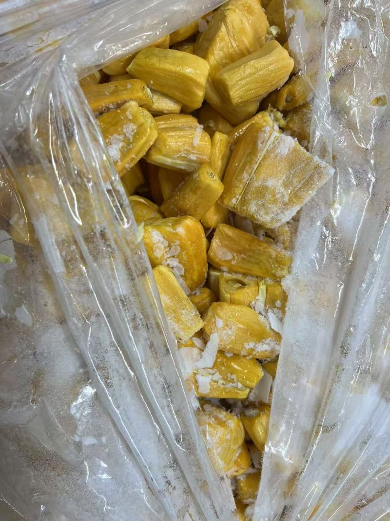 菠萝蜜冻肉原料菠萝蜜果干原料