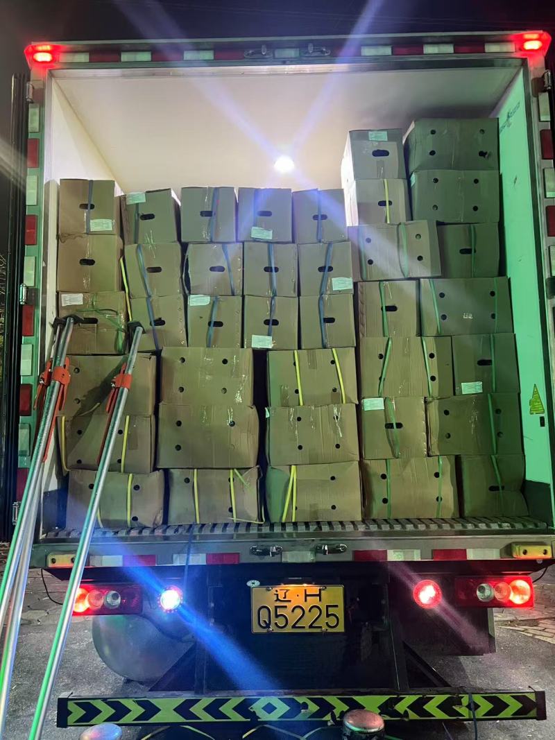翡翠柚青柚产地直销一手货源质量保证价格低