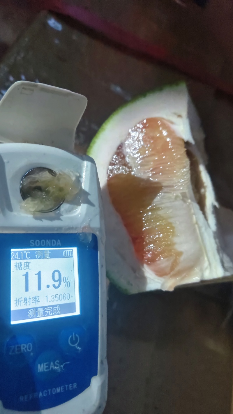 翡翠柚青柚产地直销一手货源质量保证价格低