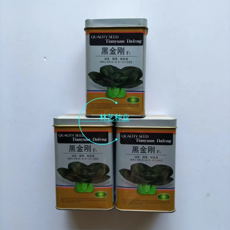 黑金刚青梗菜种子油亮耐寒耐低温青菜矮脚苏州青菜种籽秋冬蔬