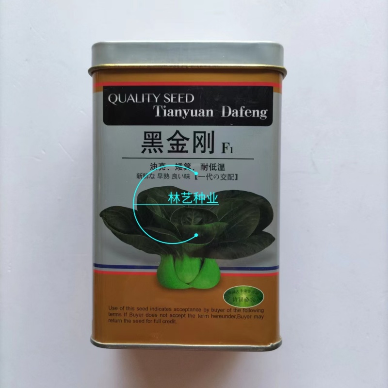 黑金刚青梗菜种子油亮耐寒耐低温青菜矮脚苏州青菜种籽秋冬蔬