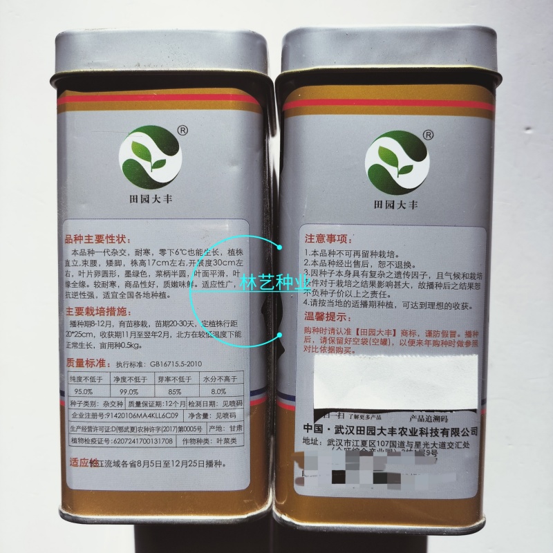 黑金刚青梗菜种子油亮耐寒耐低温青菜矮脚苏州青菜种籽秋冬蔬
