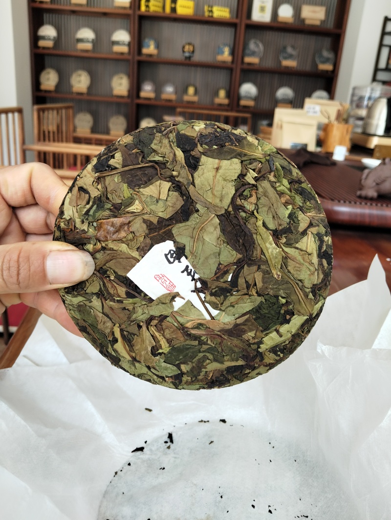 云南勐库大户赛野生白茶
