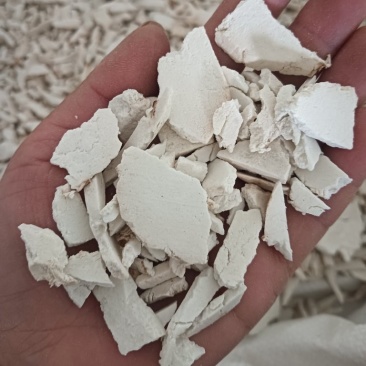 茯苓茯苓片丝现货供应实物实拍批发各种中药材