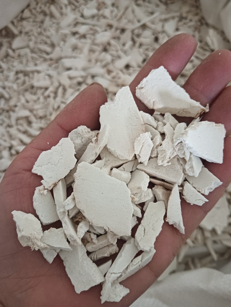 茯苓茯苓片丝现货供应实物实拍批发各种中药材