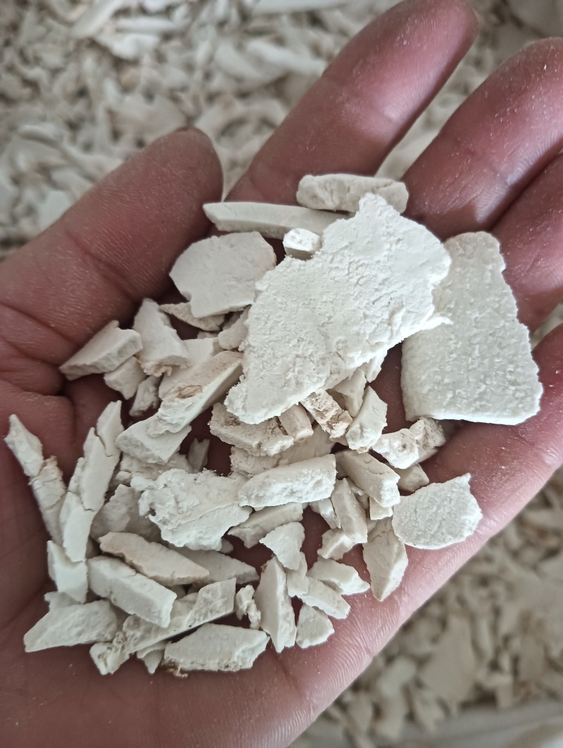 茯苓茯苓片丝现货供应实物实拍批发各种中药材