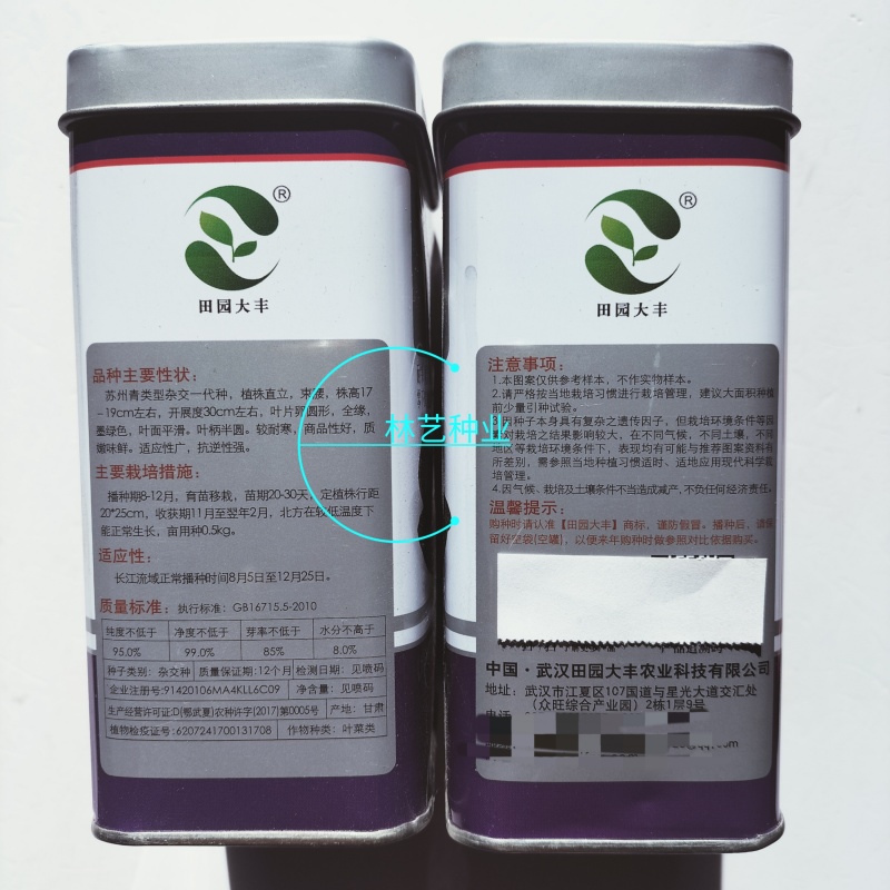 矮将军青梗菜种子四倍体杂交一代束腰矮箕耐寒油亮苏州青秋播