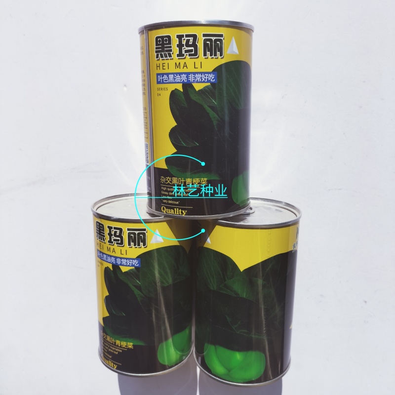 黑玛丽青梗菜种子高产抗病耐热耐寒黑叶油亮矮脚苏州青种籽