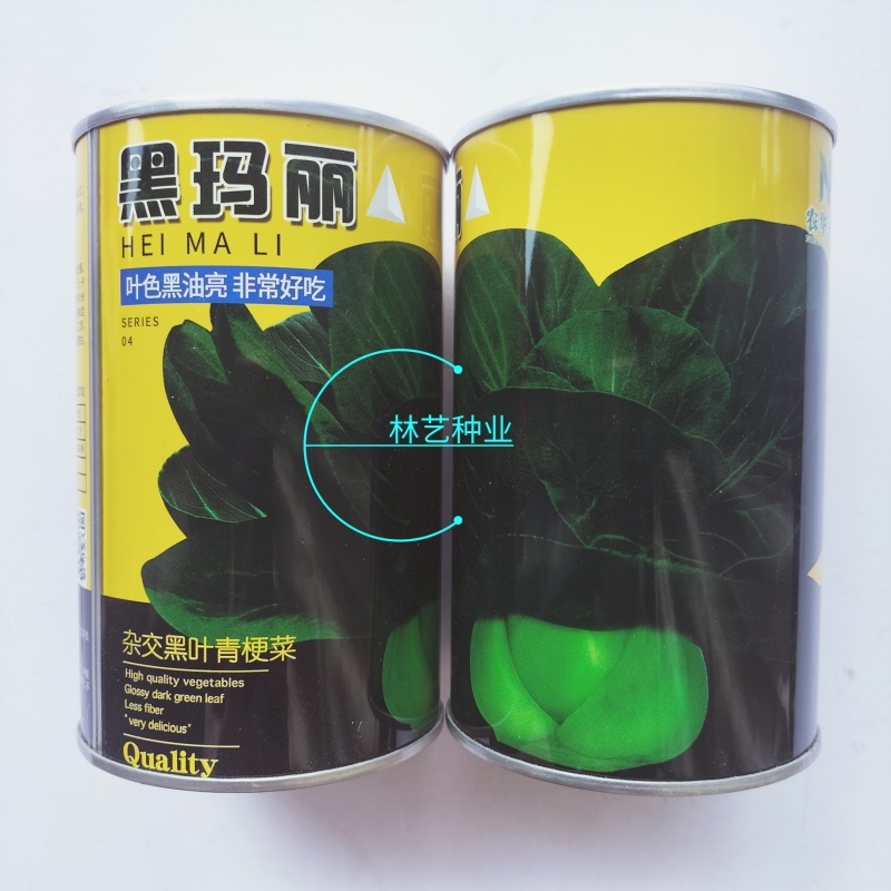 黑玛丽青梗菜种子高产抗病耐热耐寒黑叶油亮矮脚苏州青种籽