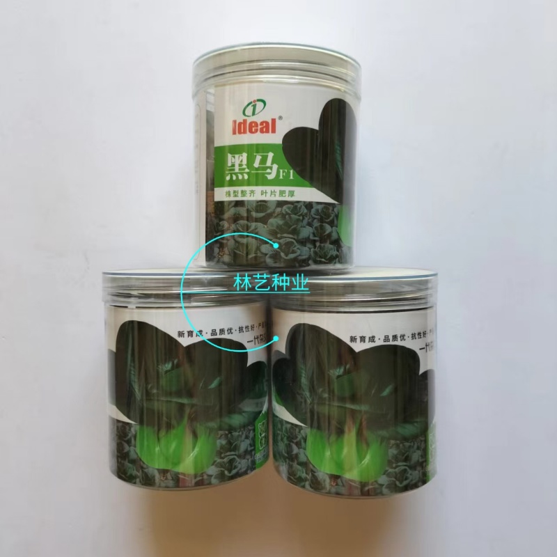 黑马青菜种子耐寒黑叶矮箕苏州青直立束腰口感软糯