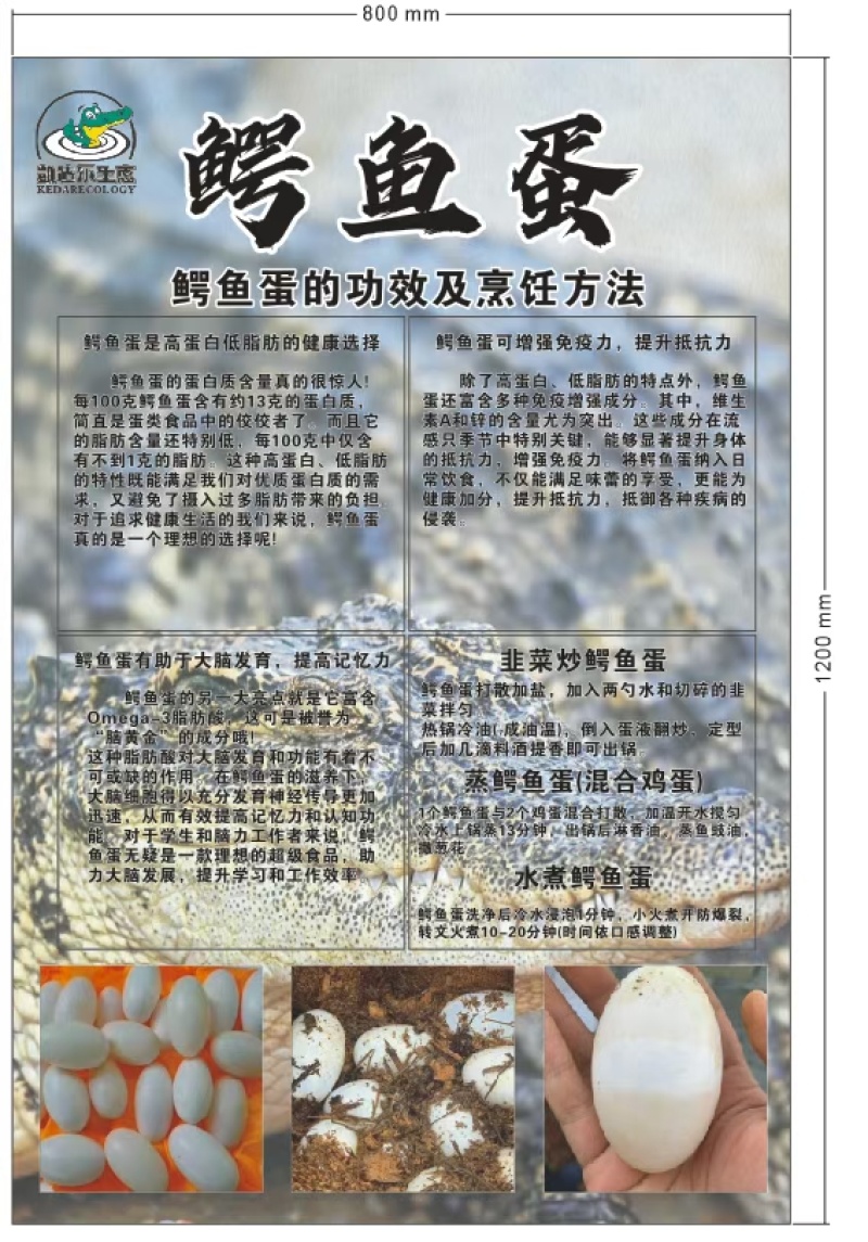 鳄鱼蛋