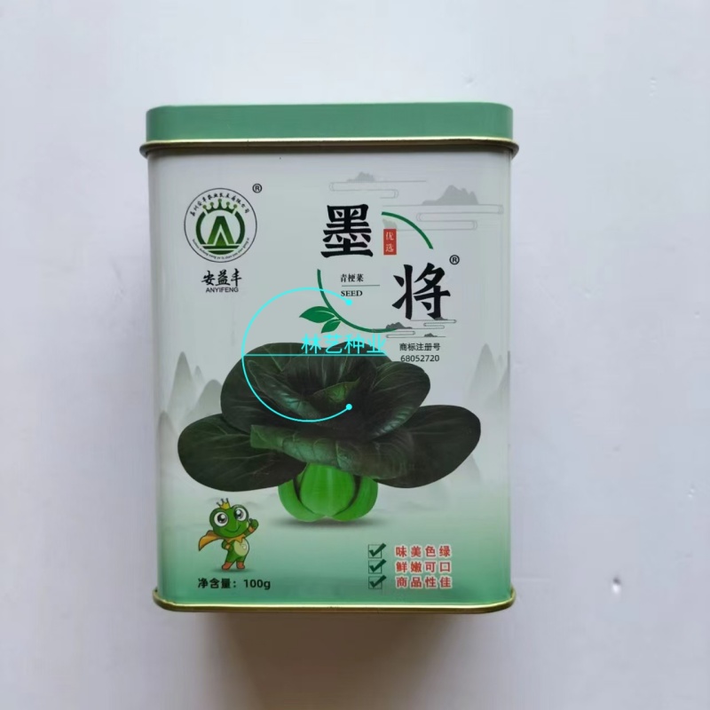 墨将黑叶油亮苏州青种籽高产耐寒四倍体矮脚特矮太湖黑菜种子