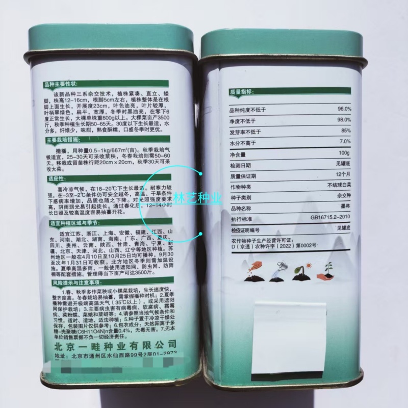 墨将黑叶油亮苏州青种籽高产耐寒四倍体矮脚特矮太湖黑菜种子