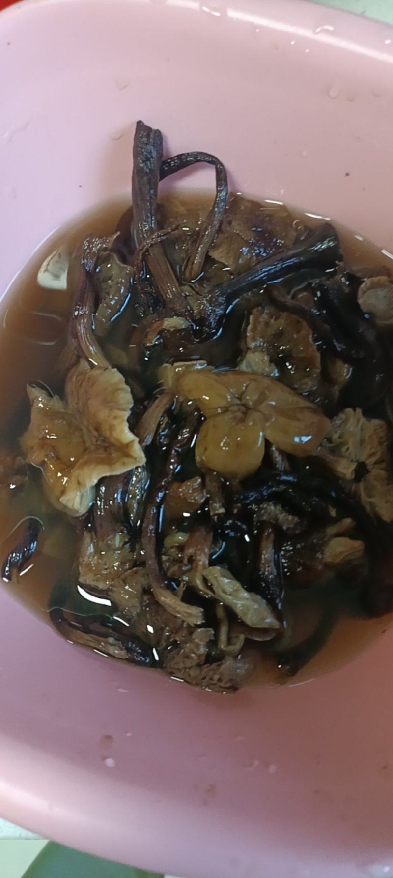 东北纯野生榛蘑农家自制嗮干小鸡炖榛蘑回味无穷