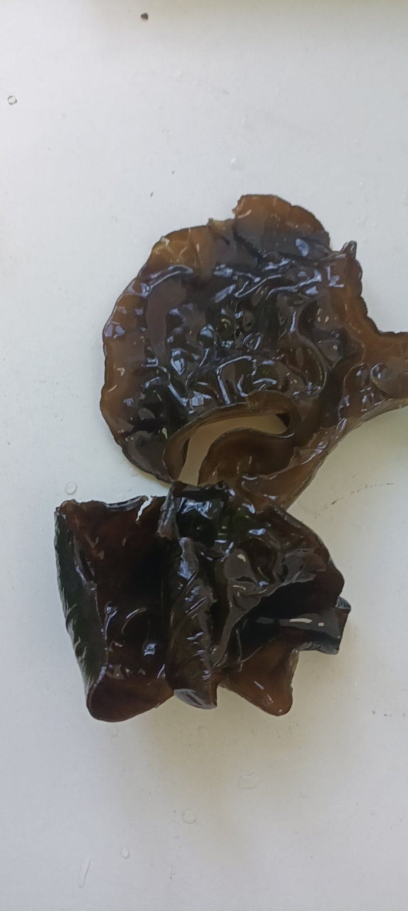 黑木耳干货黑龙江省黑河市农家自制嗮干特级纯木耳段木耳