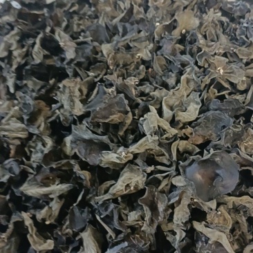 东北野生木耳***特级木耳黑龙江省黑河市纯大自然野生