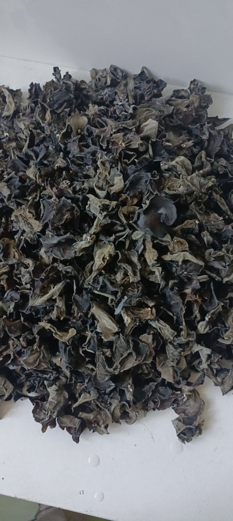 东北野生木耳***特级木耳黑龙江省黑河市纯大自然野生