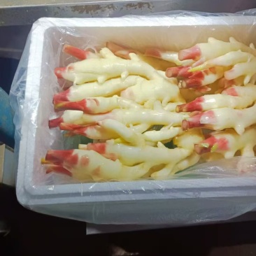 优质红芽姜