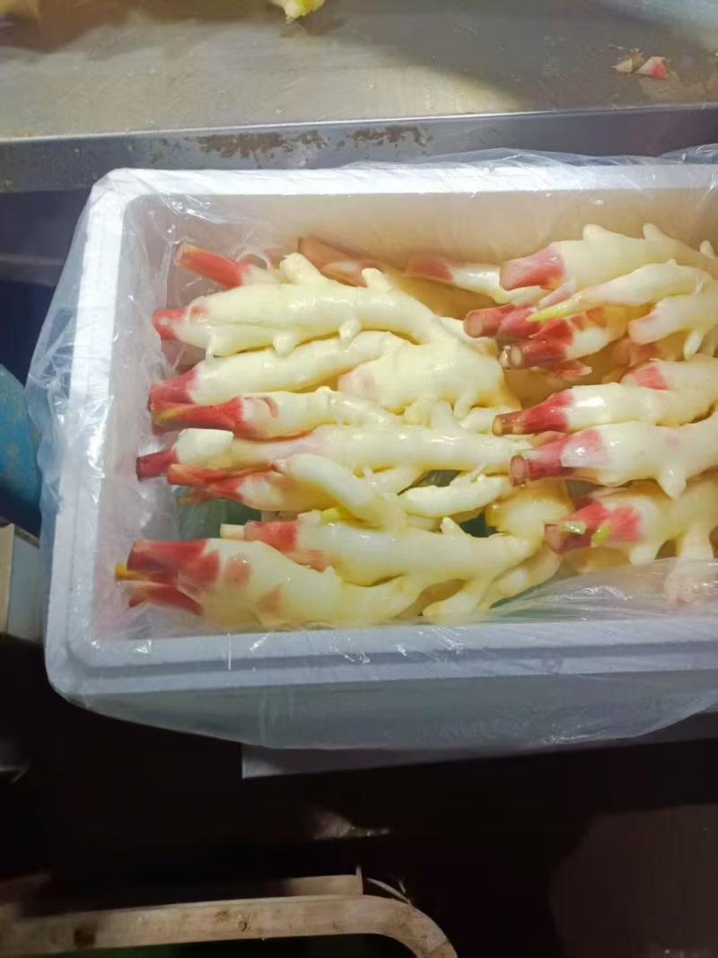 优质红芽姜