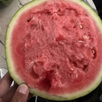 美都西瓜