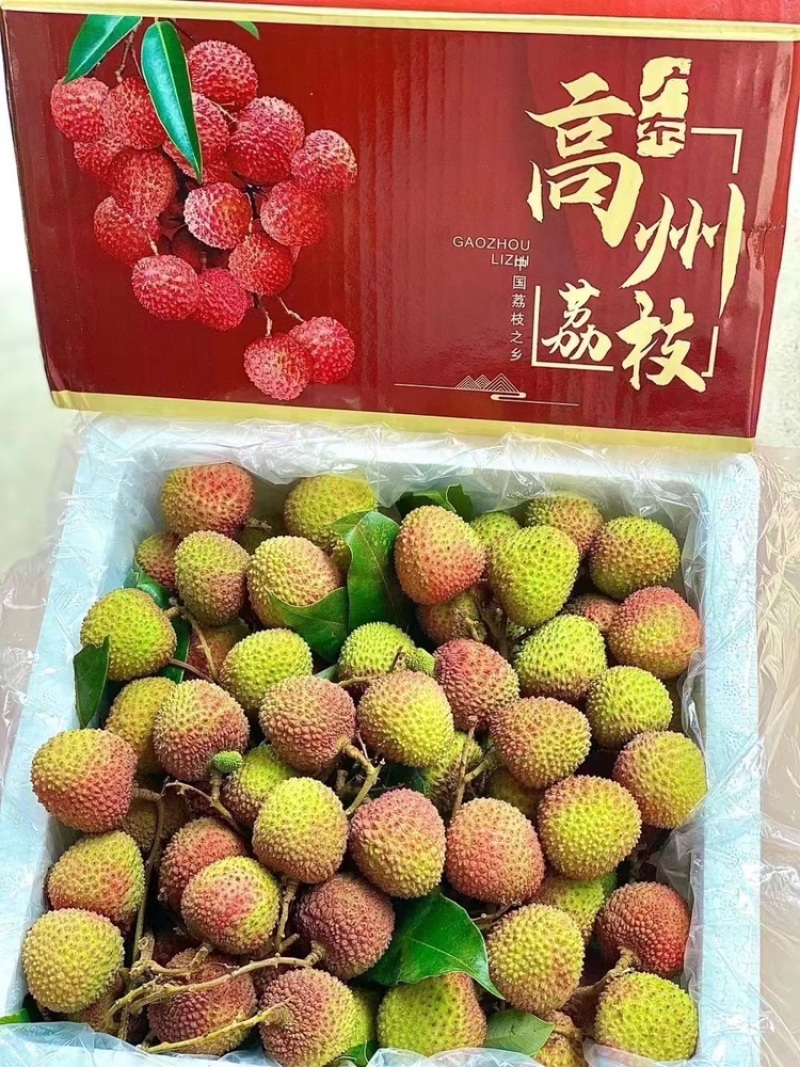 广东茂名高州市根子柏桥荔枝妃子笑荔枝