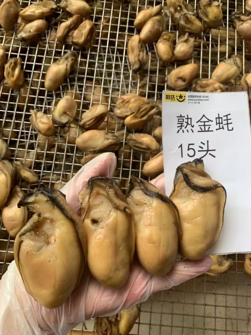 台山自产自销生晒金蚝干蚝干欢迎联系量大价优