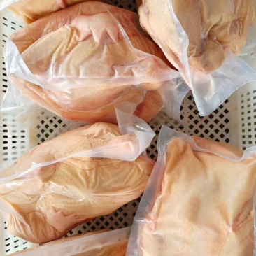 三黄鸡，工厂直接发货，货源充足，规格齐全，一手货源，