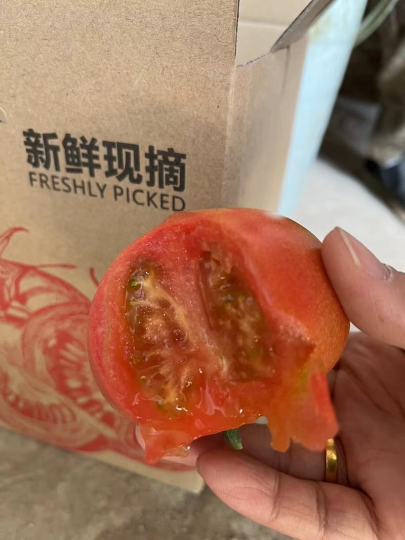 大果水果西红柿（普罗旺斯升级品种）已经上市中……