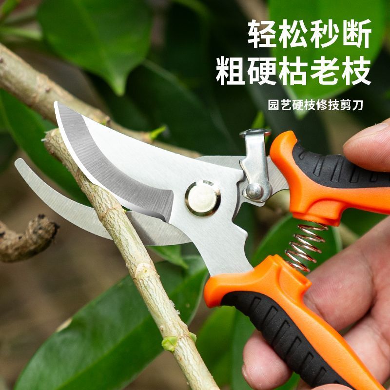 超强园艺剪刀修枝剪省力修剪树枝果树竹签园林花卉专用花艺剪