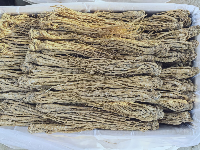 甘肃岷县有硫水洗黄当归品质保证服务周到产地直发