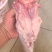 【优质推荐】猪舌头猪副产品一手货源产地直发可视频看货