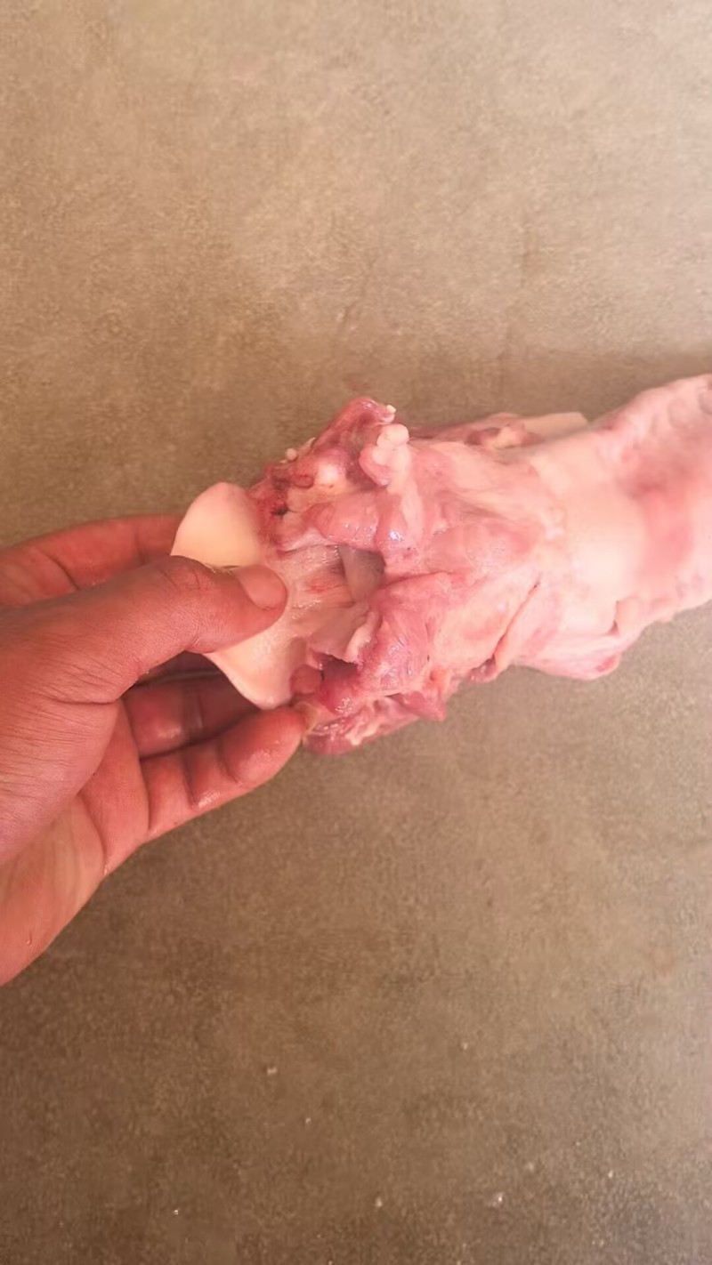 【优质推荐】猪舌头猪副产品一手货源产地直发可视频看货