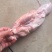 【优质推荐】猪舌头猪副产品一手货源产地直发可视频看货