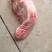 【优质推荐】猪舌头猪副产品一手货源产地直发可视频看货